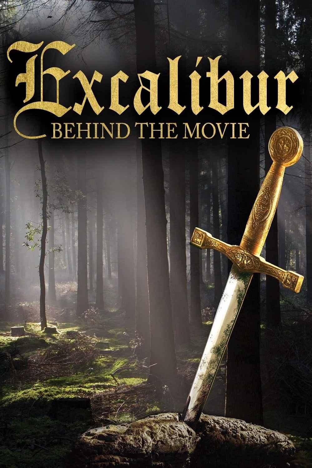 Постер Excalibur: Behind the Movie